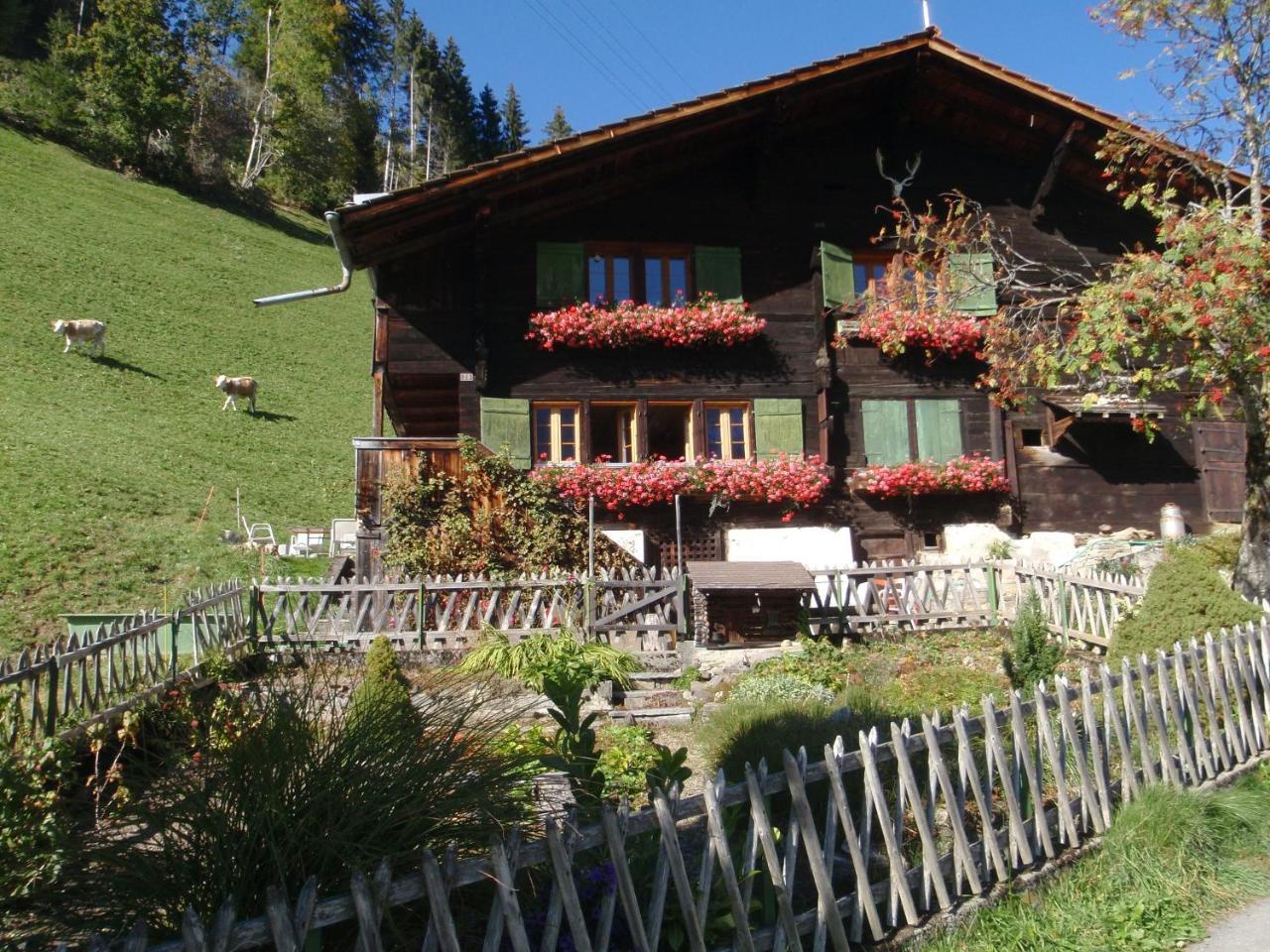 Appartment Andrea Adelboden Extérieur photo