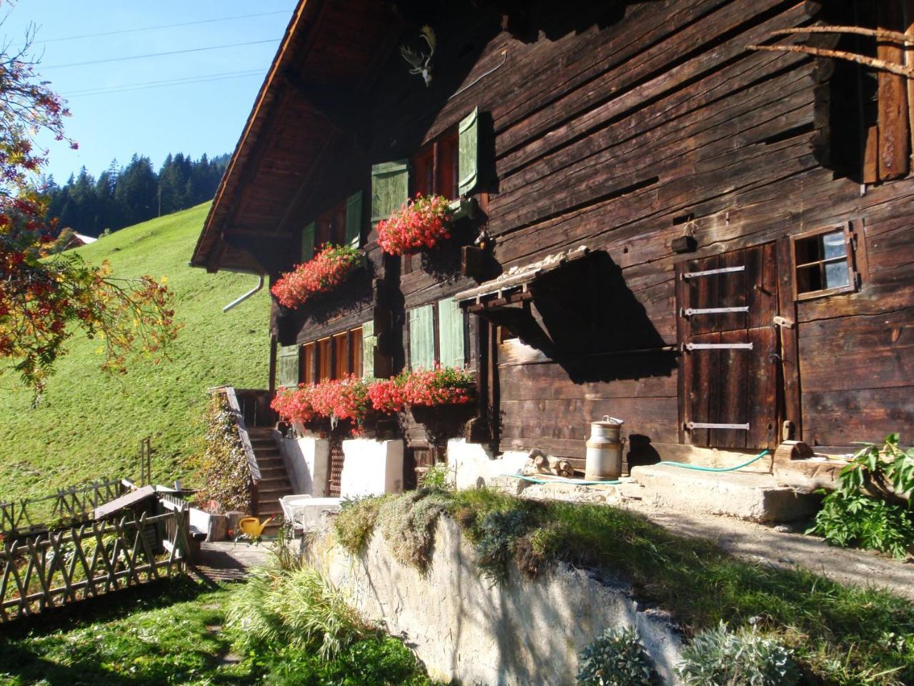 Appartment Andrea Adelboden Extérieur photo